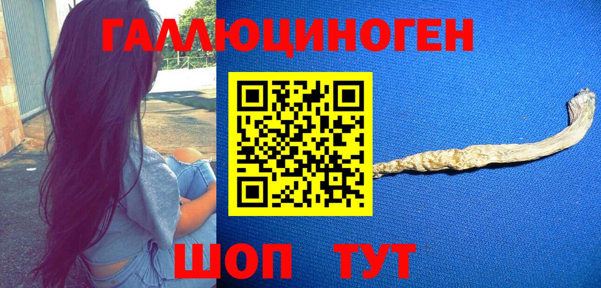 Заринск  Галлюциногенные грибы Magic Shrooms  Вход с VPN 